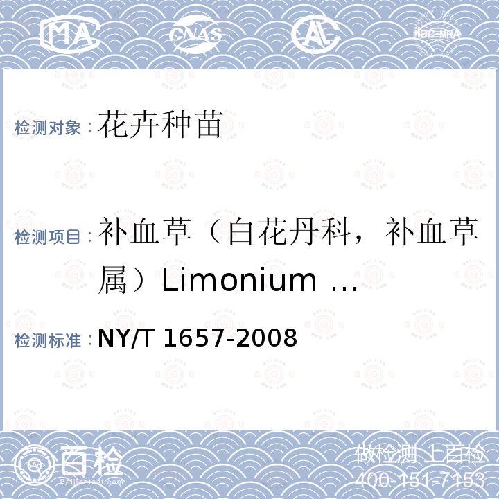 补血草（白花丹科，补血草属）Limonium sinuatum L. 补血草（白花丹科，补血草属）Limonium sinuatum L. NY/T 1657-2008