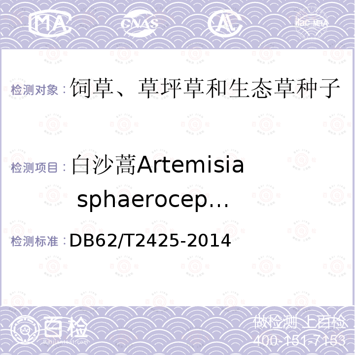 白沙蒿Artemisia sphaerocephala DB62/T 2425-2014 菊科草种子质量 白沙蒿