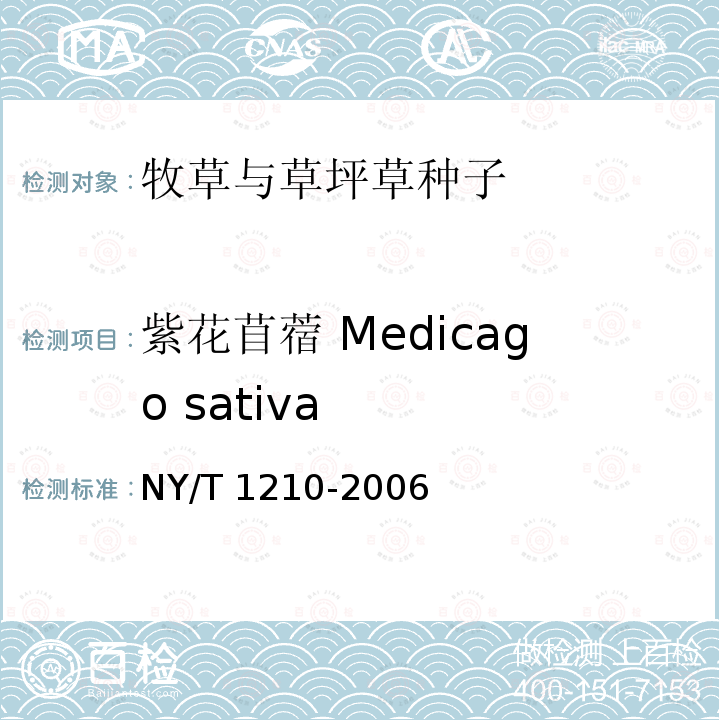 紫花苜蓿 Medicago sativa NY/T 1210-2006 牧草与草坪草种子认证规程