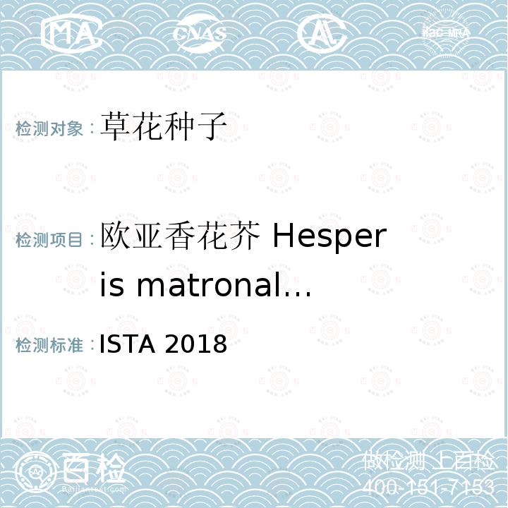 欧亚香花芥 Hesperis matronalis ISTA 2018  