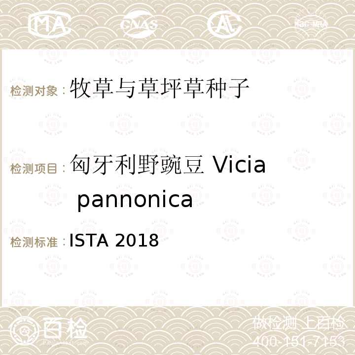 匈牙利野豌豆 Vicia pannonica ISTA 2018  