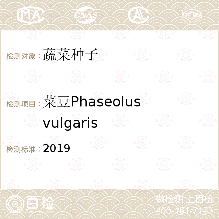 菜豆Phaseolus vulgaris 2019  