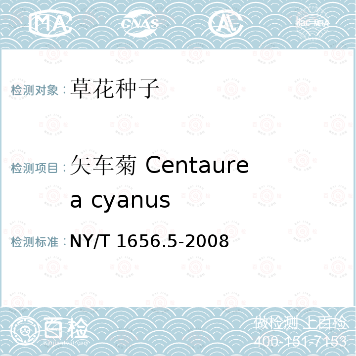 矢车菊 Centaurea cyanus NY/T 1656.5-2008 花卉检验技术规范 第5部分:花卉种子检验