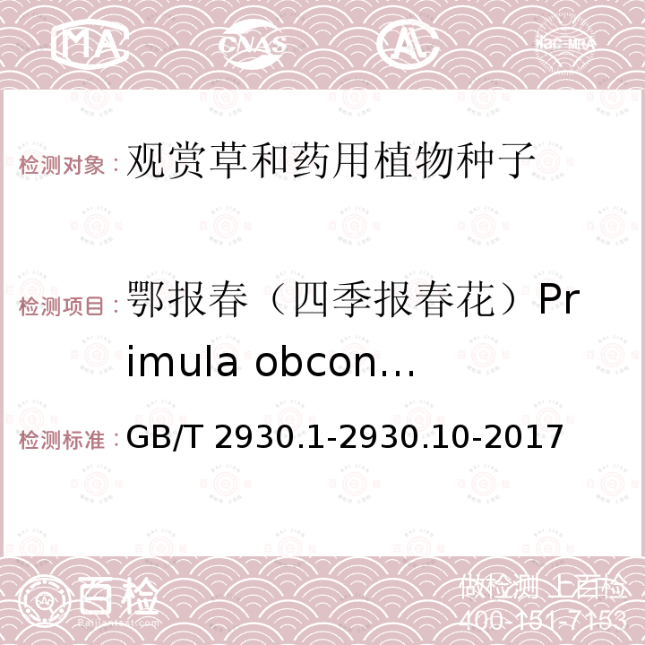 鄂报春（四季报春花）Primula obconica GB/T 2930.1-2930  .10-2017