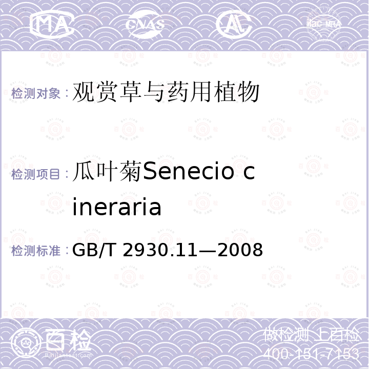 瓜叶菊Senecio cineraria GB/T 2930.11-2008 草种子检验规程 检验报告