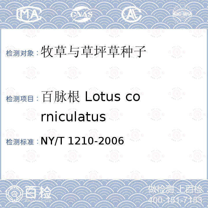 百脉根 Lotus corniculatus 百脉根 Lotus corniculatus NY/T 1210-2006