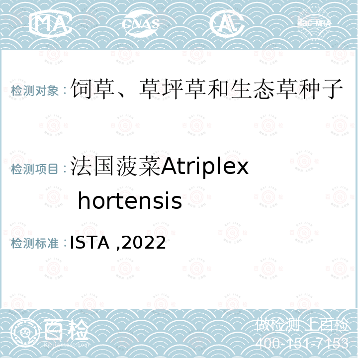 法国菠菜Atriplex hortensis ISTA ,2022  