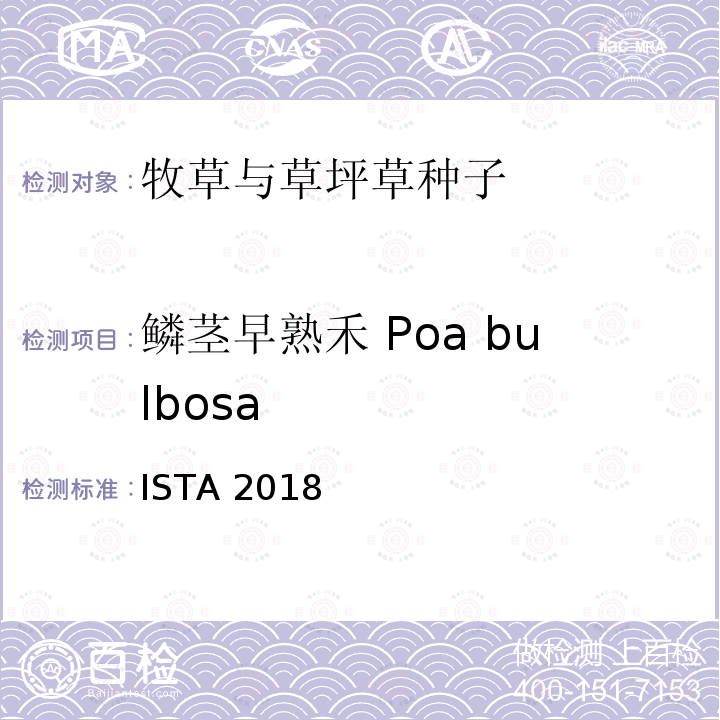 鳞茎早熟禾 Poa bulbosa ISTA 2018  