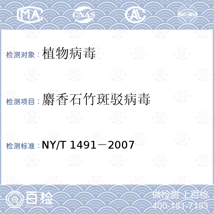 麝香石竹斑驳病毒 NY/T 1491-2007 花卉植物病毒检测规程