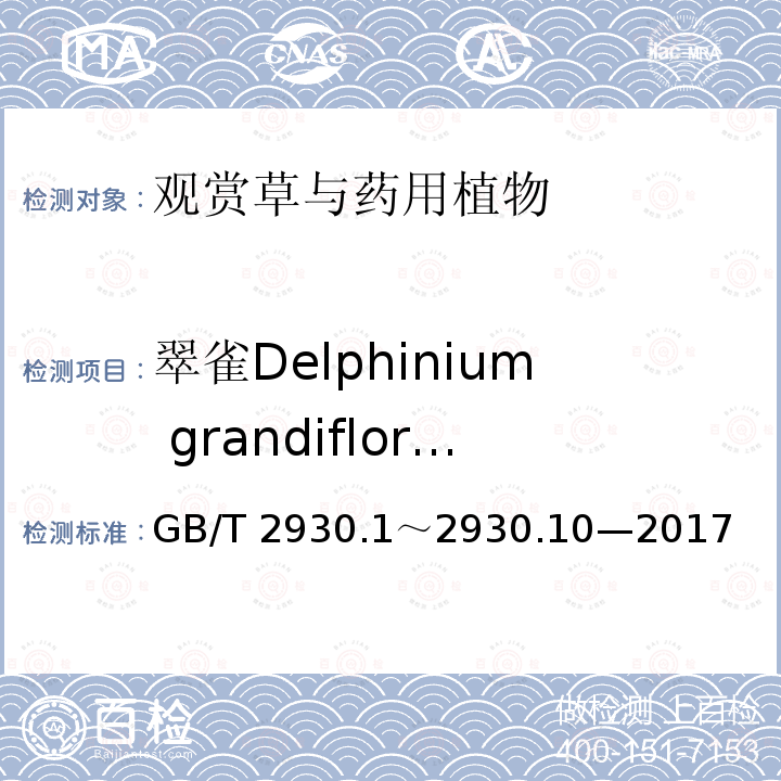 翠雀Delphinium grandiflorum GB/T 2930  .1～2930.10—2017