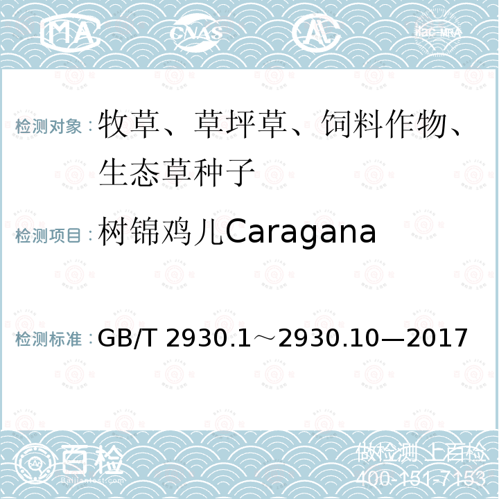树锦鸡儿Caragana arborescens GB/T 2930  .1～2930.10—2017
