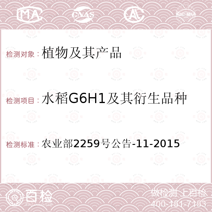 水稻G6H1及其衍生品种 水稻G6H1及其衍生品种 农业部2259号公告-11-2015