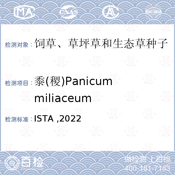 黍(稷)Panicum miliaceum ISTA ,2022 黍(稷)Panicum miliaceum 