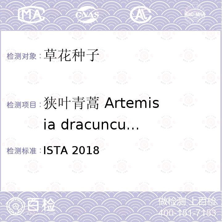 狭叶青蒿 Artemisia dracunculus ISTA 2018  