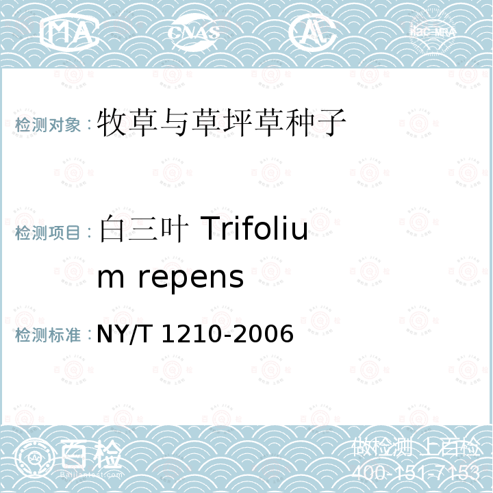 白三叶 Trifolium repens NY/T 1210-2006 牧草与草坪草种子认证规程