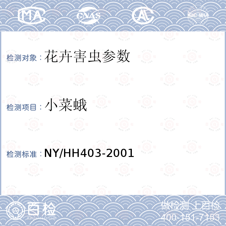 小菜蛾 HH 403-2001  NY/HH403-2001