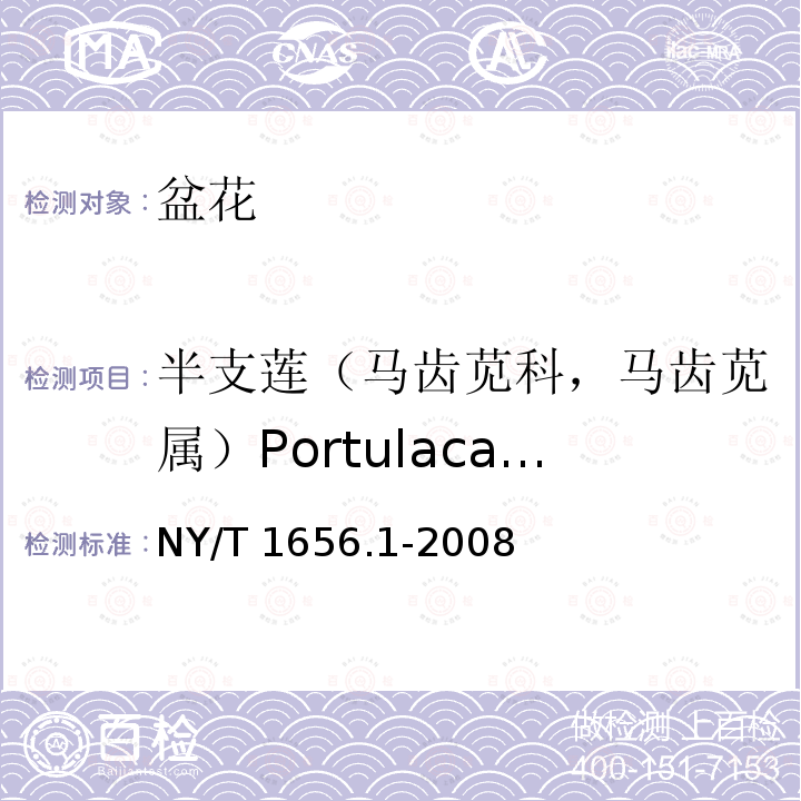 半支莲（马齿苋科，马齿苋属）Portulaca grandiflora NY/T 1656.1-2008 花卉检验技术规范 第1部分:基本规则