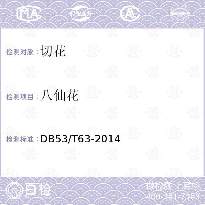 八仙花 DB53/T 63-2014 主要鲜切花产品等级