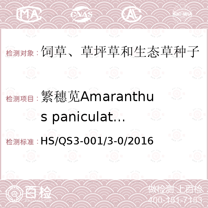 繁穗苋Amaranthus paniculatus HS/QS3-001/3-0/2016  