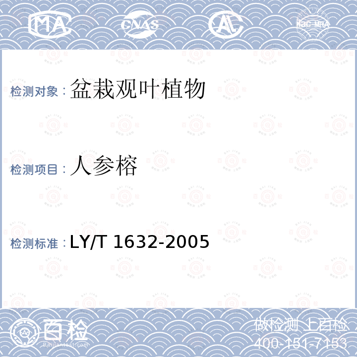 人参榕 LY/T 1632-2005 人参榕生产技术规程和质量等级