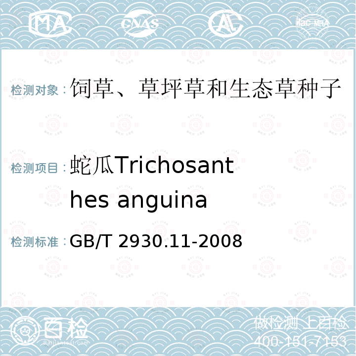 蛇瓜Trichosanthes anguina GB/T 2930.11-2008 草种子检验规程 检验报告