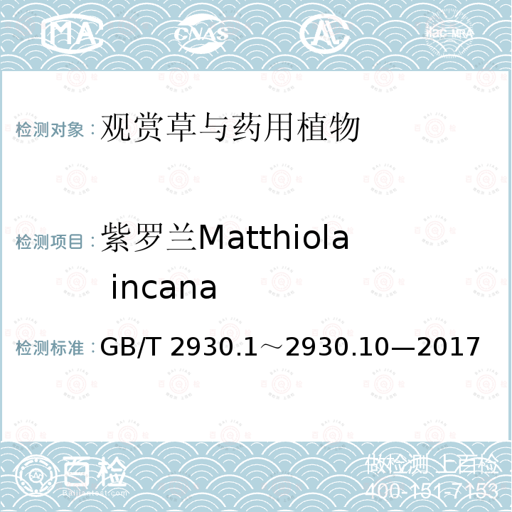 紫罗兰Matthiola incana GB/T 2930  .1～2930.10—2017