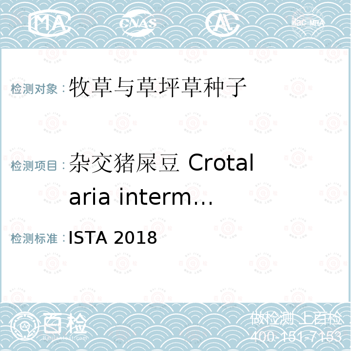 杂交猪屎豆 Crotalaria intermedia 杂交猪屎豆 Crotalaria intermedia ISTA 2018