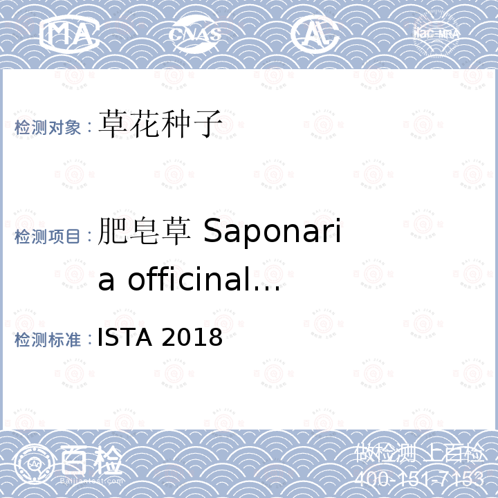肥皂草 Saponaria officinalis 肥皂草 Saponaria officinalis ISTA 2018