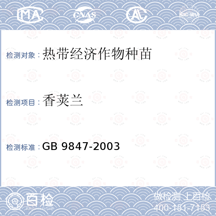 香荚兰 GB 9847-2003 苹果苗木