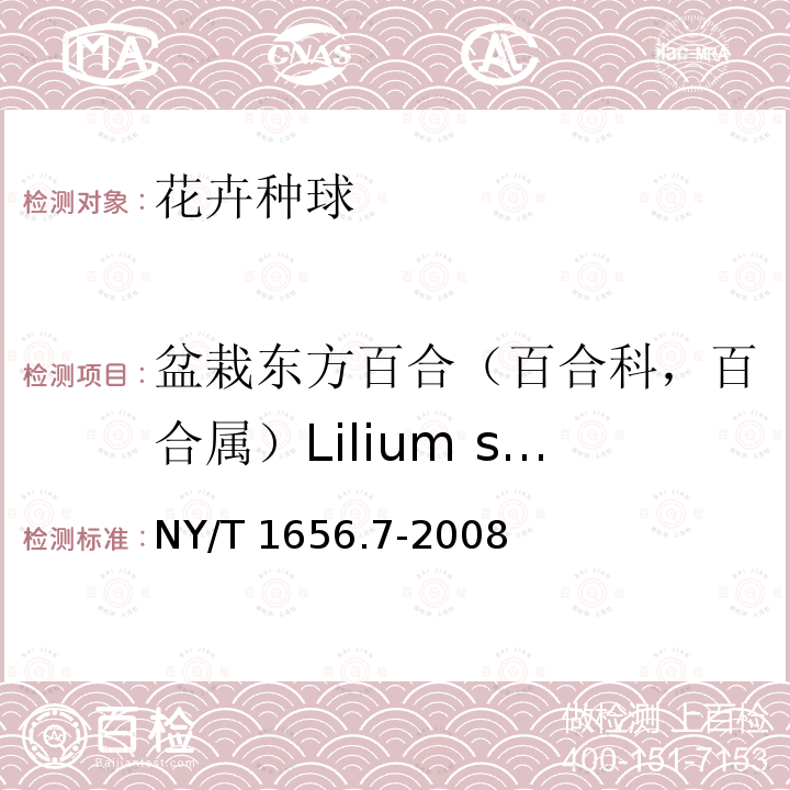 盆栽东方百合（百合科，百合属）Lilium spp.(Oriental hybrids pot) NY/T 1656.7-2008 花卉检验技术规范 第7部分:种球检验