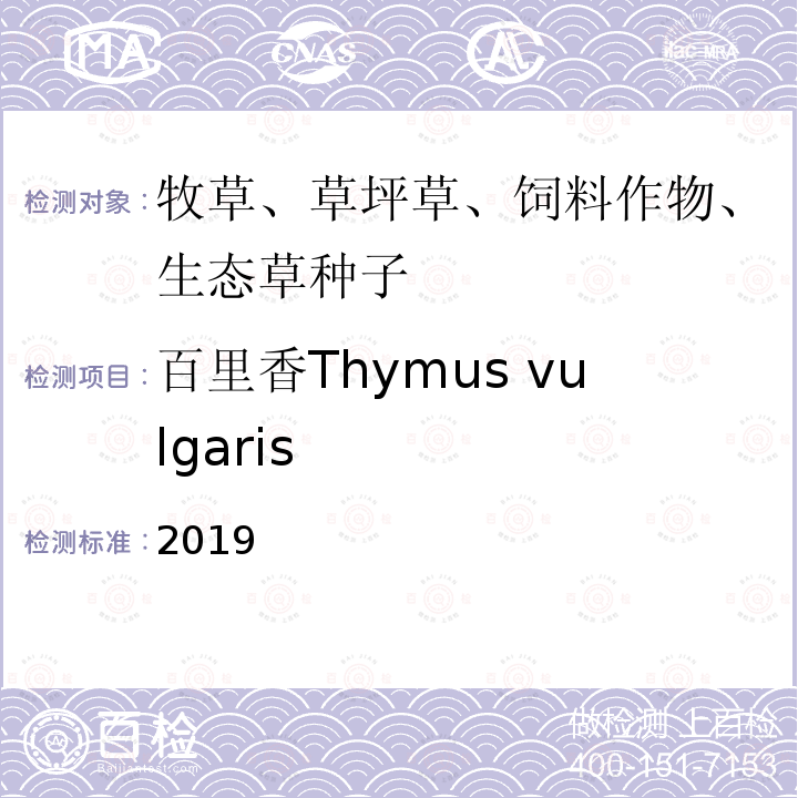 百里香Thymus vulgaris 百里香Thymus vulgaris 2019