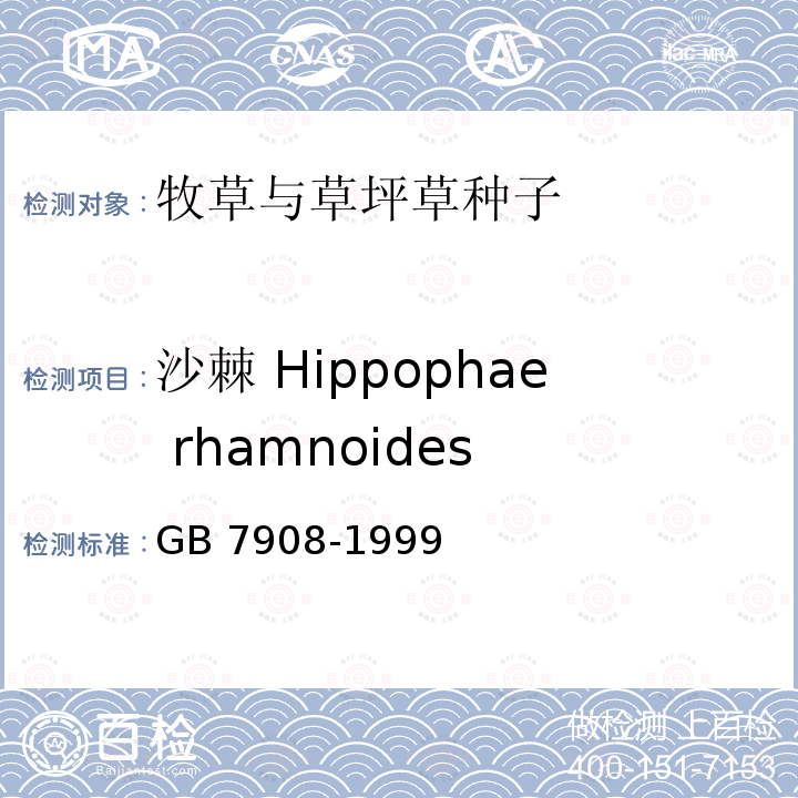 沙棘 Hippophae rhamnoides GB 7908-1999 林木种子质量分级