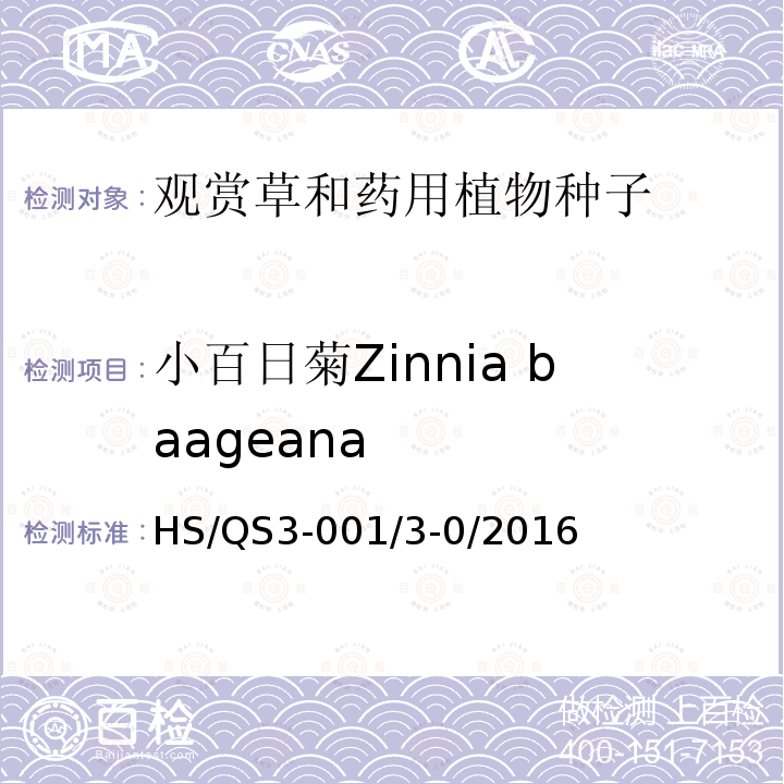 小百日菊Zinnia baageana HS/QS3-001/3-0/2016  