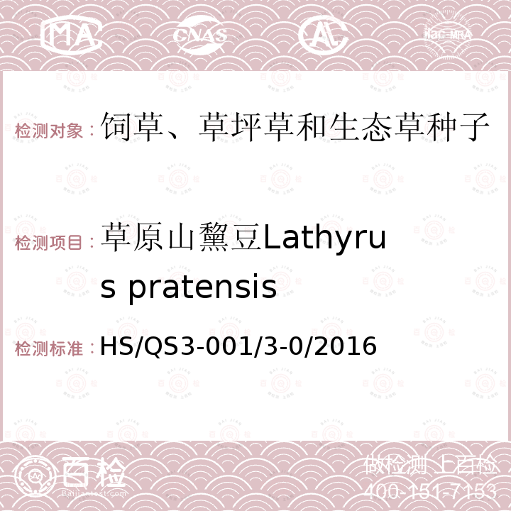 草原山黧豆Lathyrus pratensis HS/QS3-001/3-0/2016  