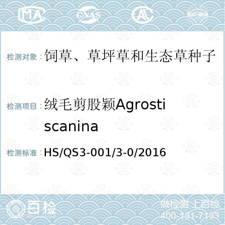 绒毛剪股颖Agrostiscanina HS/QS3-001/3-0/2016  