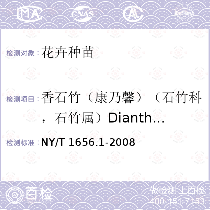 香石竹（康乃馨）（石竹科，石竹属）Dianthus caryophyllus L. NY/T 1656.1-2008 花卉检验技术规范 第1部分:基本规则