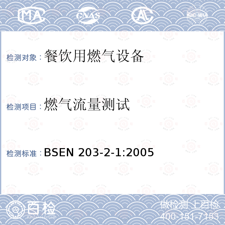 燃气流量测试 BSEN 203-2-1:2005  