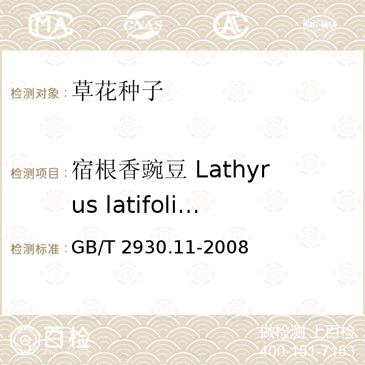 宿根香豌豆 Lathyrus latifolius GB/T 2930.11-2008 草种子检验规程 检验报告