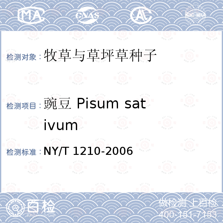 豌豆 Pisum sativum NY/T 1210-2006 牧草与草坪草种子认证规程