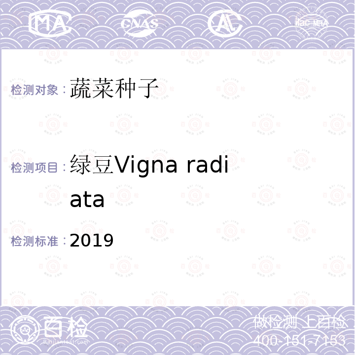 绿豆Vigna radiata 2019  