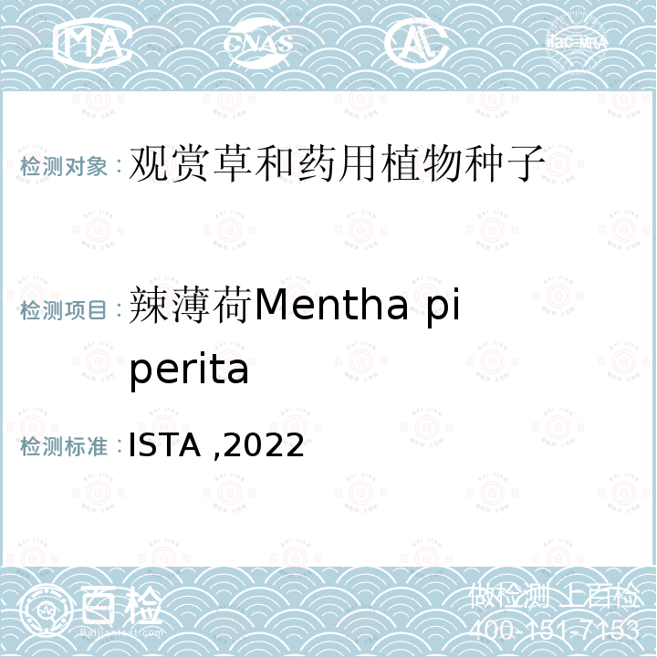 辣薄荷Mentha piperita ISTA ,2022  