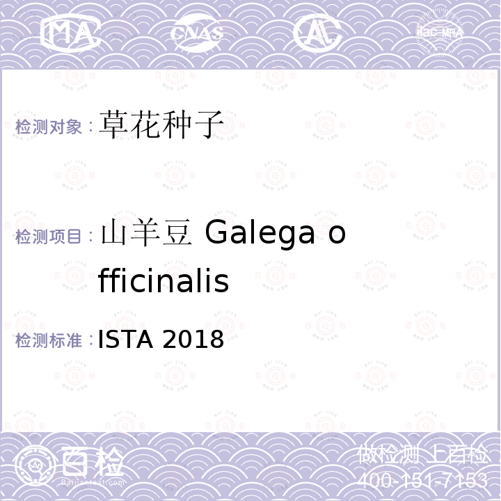 山羊豆 Galega officinalis ISTA 2018  