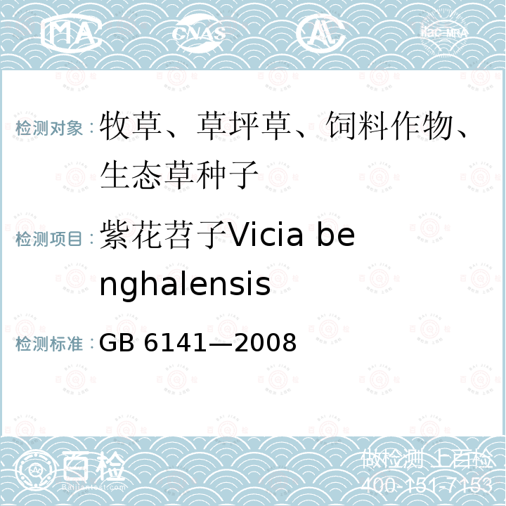 紫花苕子Vicia benghalensis GB 6141-2008 豆科草种子质量分级