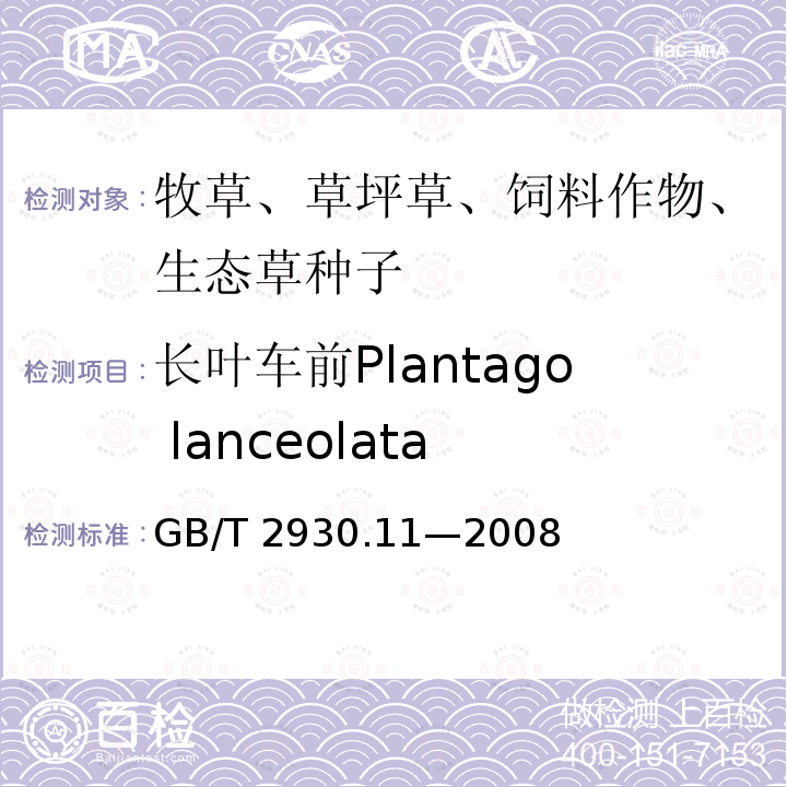 长叶车前Plantago lanceolata 长叶车前Plantago lanceolata GB/T 2930.11—2008