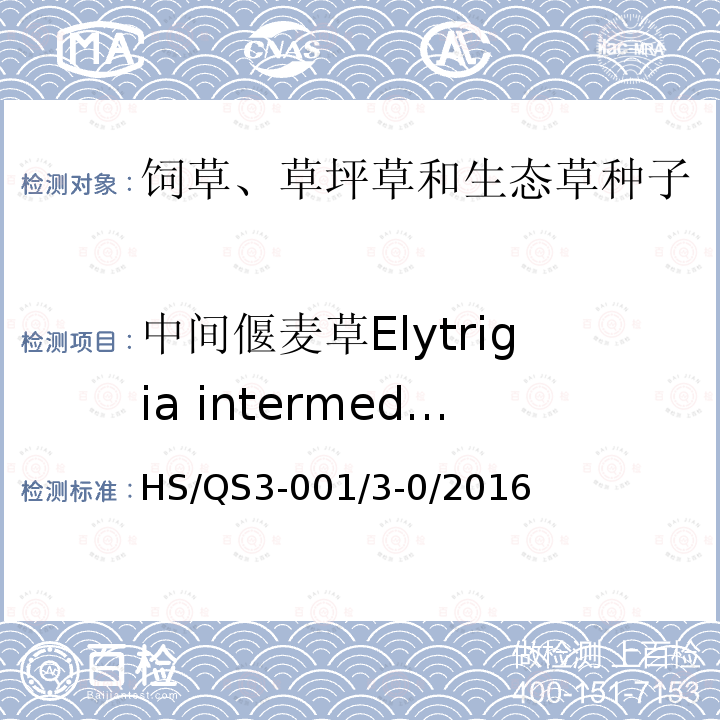 中间偃麦草Elytrigia intermedia HS/QS3-001/3-0/2016  
