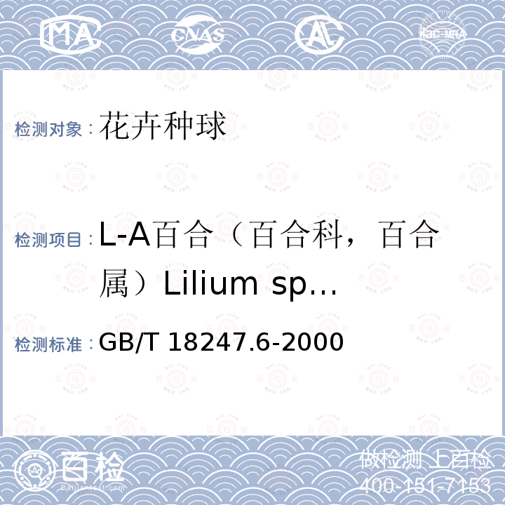 L-A百合（百合科，百合属）Lilium spp.(L/A hybrids) GB/T 18247.6-2000 主要花卉产品等级 第6部分:花卉种球
