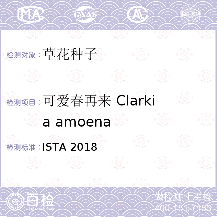 可爱春再来 Clarkia amoena 可爱春再来 Clarkia amoena ISTA 2018
