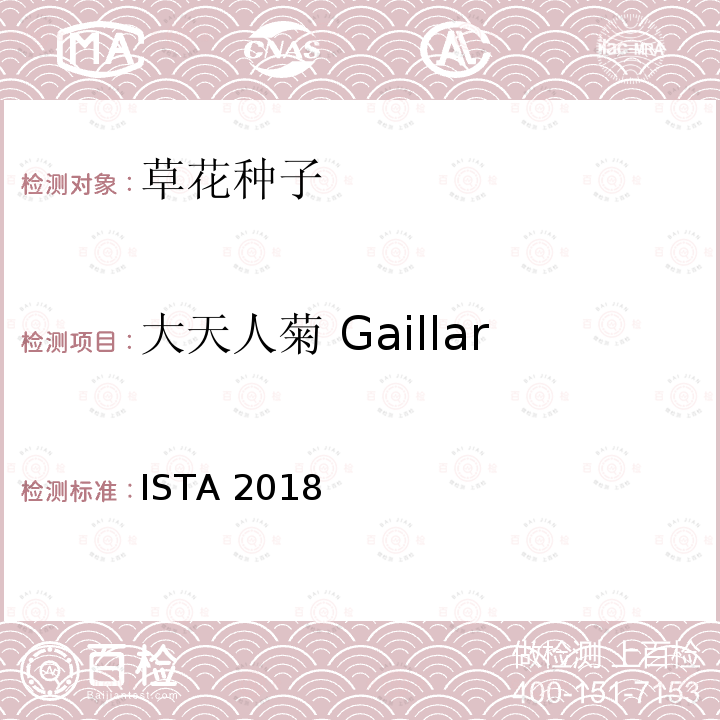 大天人菊 Gaillardia aristata ISTA 2018  