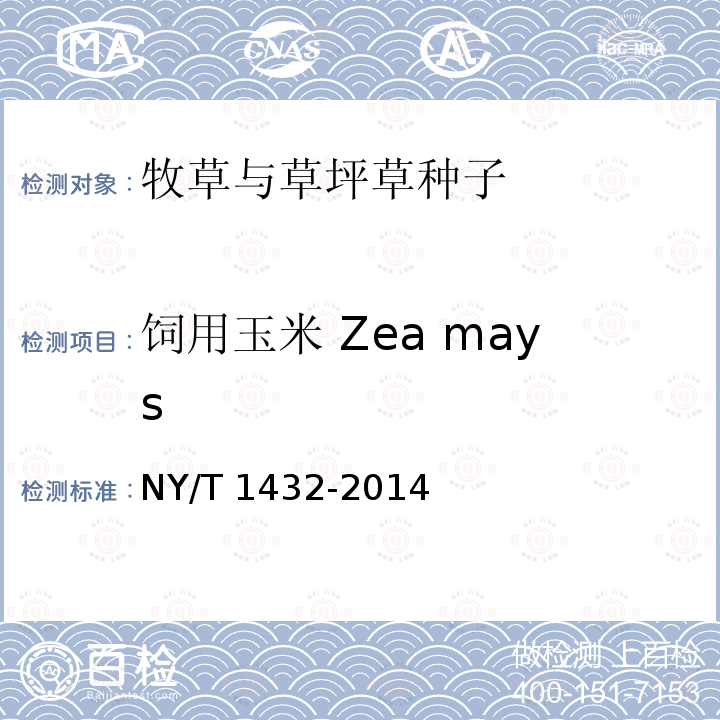 饲用玉米 Zea mays NY/T 1432-2014 玉米品种鉴定技术规程  SSR标记法