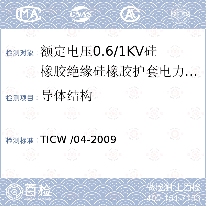 导体结构 TICW /04-2009  